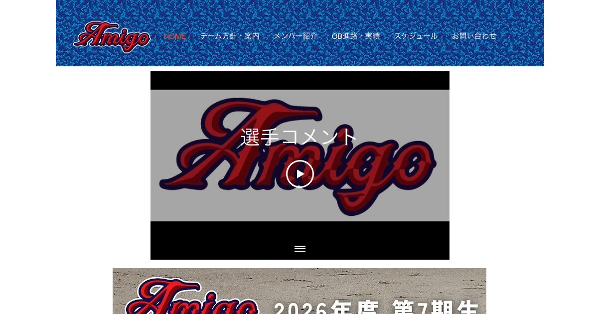 アミーゴMBAポニー